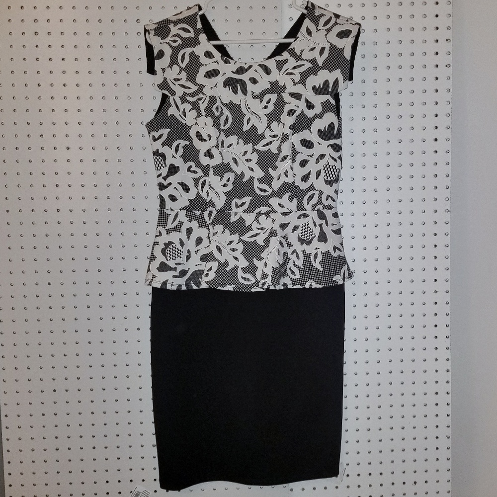 Enfocus Studio Puplum Dress 10